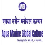aqua marine global culture